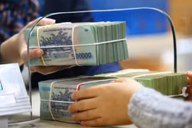 Ảnh minh họa (Nguồn: Internet)