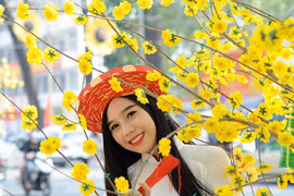 Ảnh minh họa