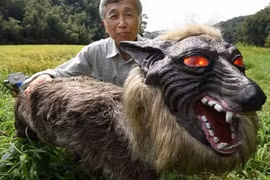 Ảnh minh họa