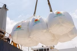 LTG báo lãi kỷ lục năm 2022