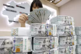 Ngoài xuất siêu, FDI và kiều hối, nguồn cung ngoại tệ nửa cuối 2023 còn đến từ đâu?