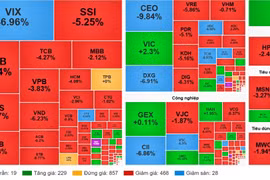 Cổ phiếu CEO, HDC, TCH, DXG... la liệt sàn, VN-Index mất hơn 22 điểm