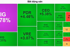 Cổ phiếu bất động sản đua nhau xanh tím sau Tết