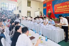 Một phiên đấu giá đất tại Thanh Oai, Hà Nội vào tháng 8 năm ngoái