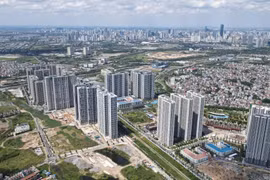 Danh mục đầu tư của Bất động sản TCO tập trung cao vào dự án LUMIÈRE Evergreen