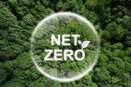 Cuộc đua của doanh nghiệp về xu hướng Net Zero