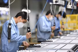 Mỗi tháng có hơn 20.000 doanh nghiệp thành lập mới và trở lại hoạt động