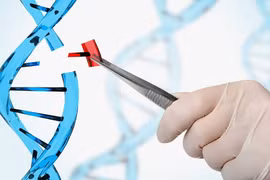 Có thể chỉnh sửa gene người để chống lại một số bệnh tật? (ảnh minh họa: New Atlas)