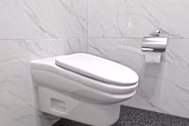 Chiếc bồn cầu StandardToilet