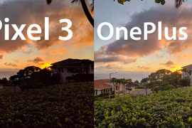 Pixel 3 chụp ảnh chưa hẳn đã đẹp hơn OnePlus 6T (ảnh: Business Insider)