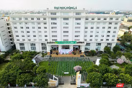 Quang cảnh Lễ hội giao lưu văn hóa Việt – Nhật và Ngày hội việc làm Nhật Bản 2021 tại Đà Nẵng nhìn từ trên cao
