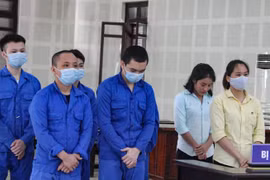 Các đối tượng tại toà