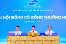 Đại hội đồng cổ đông thường niên năm 2025 của Gemadept. Ảnh: HL 