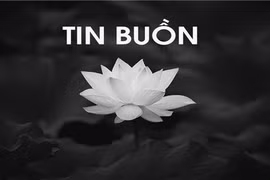 Tin buồn