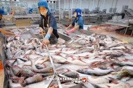 “Lo lắng khi Trung Quốc phá giá Nhân dân tệ là hơi thừa”