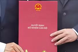 Quy định mới có hiệu lực: Tiêu chuẩn để làm thứ trưởng