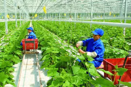 Thể chế hóa chủ trương của Đảng về nông nghiệp, nông dân, nông thôn trong Luật Đất đai 2024
