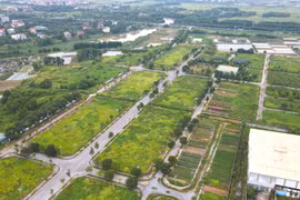 Sẵn 2 tỷ đồng, đầu tư đất nền ở đâu, thế nào để sinh lời?