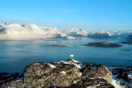 Đảo Greenland, lãnh thổ tự trị của Đan Mạch ở Bắc Cực, vùng đất ông Trump muốn mua