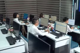 Biển số ô tô ngũ quý 8 ở Nghệ An trúng đấu giá cao nhất trong ngày