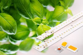 Samsung đã mở rộng các giải pháp linh kiện số của đèn LED với các sản phẩm chiếu sáng mới cho cây trồng (Ảnh Samsung Newsroom)