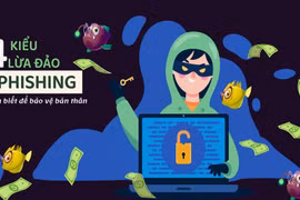 Ảnh minh họa: IPS