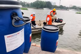 Công ty Arktic nhập chế phẩm Redoxy-3C từ Đức với giá bao nhiêu?