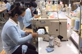 Có hay không nguy cơ thiếu nguyên liệu sản xuất tại các công ty khẩu trang