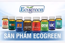 Eco Pharma - nhà phân phối độc quyền sâm Alipas Platinum, sâm Angela Gold: Doanh thu nghìn tỷ, lợi nhuận mỏng tang...
