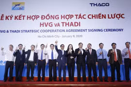 Thadi đã chính thức hiện diện ở HVG.