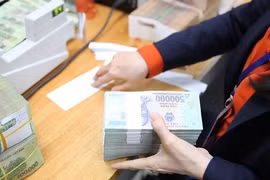 Trong năm nay và năm sau, tỷ trọng nắm giữ của Nhà nước sẽ giữ nguyên 65%. Ảnh minh họa: Thành Hoa