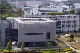 Viện nghiên cứu Virus Vũ Hán, nơi bị hai nhjaf khoa học Mỹ nghi ngờ tạo ra SARS-CoV-2 trong phòng thí nghiệm (Ảnh: ibtimes).