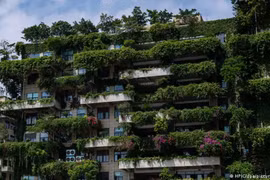 Một góc dự án khổng lồ đầu tư 100 tỉ USD Forest City của Country Garden tại Malaysia (Ảnh: Nanyang)