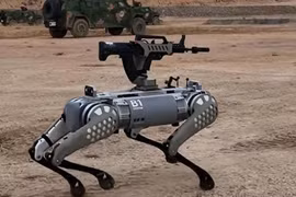 Robot Unitree B1 mang súng trường được sử dụng trong quân đội Trung Quốc. Ảnh: Wforum.