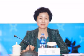 Vương Lệ, nữ quan tham có sở thích kỳ quặc khi còn giữ chức vụ (Ảnh: Sina).