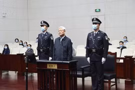 Ông Triệu Chính Vĩnh, trở thành "Hổ lớn" đầu tiên bị xét xử trong năm 2020 (Ảnh: DF).