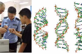 Việc Trung Quốc thu thập và lập Ngân hàng gene nam giới đang gây rúng động (Ảnh: adhrrf.org).