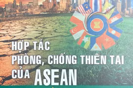 Ảnh minh họa