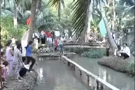 Trò chơi đạp xe đi qua cầu khỉ