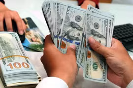 MBS: NHNN mua thêm 3,5 tỉ USD trong 2 tháng đầu năm 2023