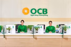 OCB và những điểm sáng trong bức tranh kinh doanh năm 2022