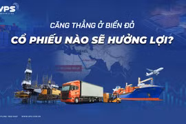 Liệu có nhóm cổ phiếu nào dự báo sẽ hưởng lợi trong tình hình căng thẳng tại Biển Đỏ và kênh đào Suez vẫn chưa lắng xuống? 