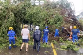 Siêu bão Yagi đổ bộ vào tỉnh Hải Nam, Trung Quốc đã gây tổn thất lớn (Ảnh: Xinhua).