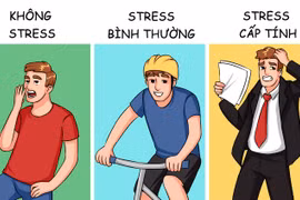 Các mức độ stress và ảnh hưởng của chúng tới cơ thể con người