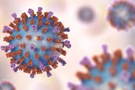 Ảnh minh họa virus RSV lây lan nhanh, thường xuyên gây bệnh cho trẻ nhỏ.