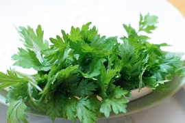 Cây ngải cứu là vị thuốc Đông Y quen thuộc.
