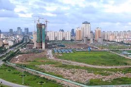 Ảnh minh họa/Nguồn: Hà Nội mới