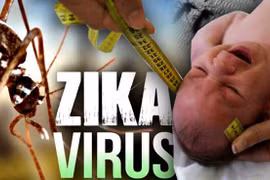 Tốc độ lây nhiễm vi rút Zika tại TP HCM cao.