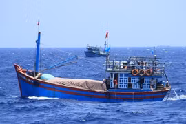 Ảnh minh họa