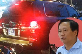 Ông Võ Chí Thanh cấp biển xanh trái phép .